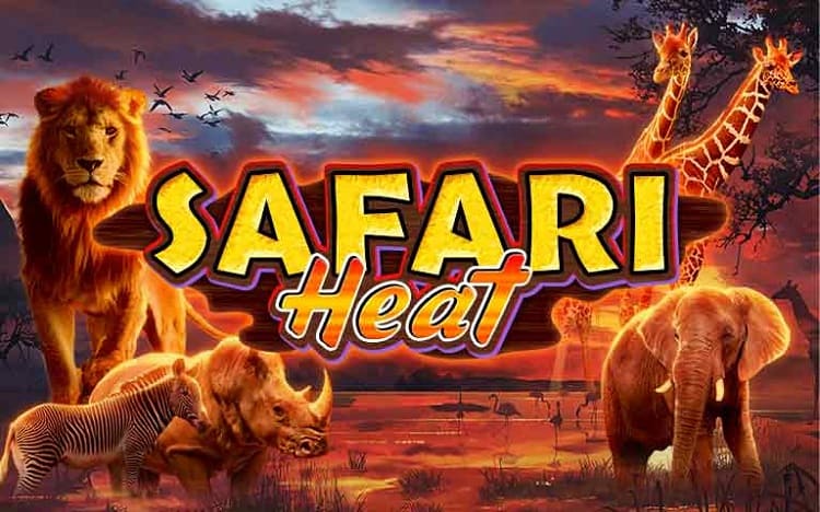 Safari Heat Slot: Playtech Review, RTP & How to Play